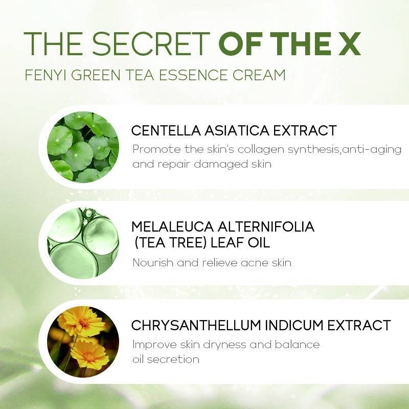 Fenyi Green Tea Essence Cream – 40g