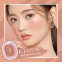 [PF-F01.N01] PINKFLASH Chic In Cheek Blush (PF-F01) (N01 - Ripe Fig (Matte))