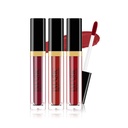 Imagic Velvet Matte Lip Gloss (LP-207B)