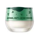 Laikou Herbal Anti-Acne Cream